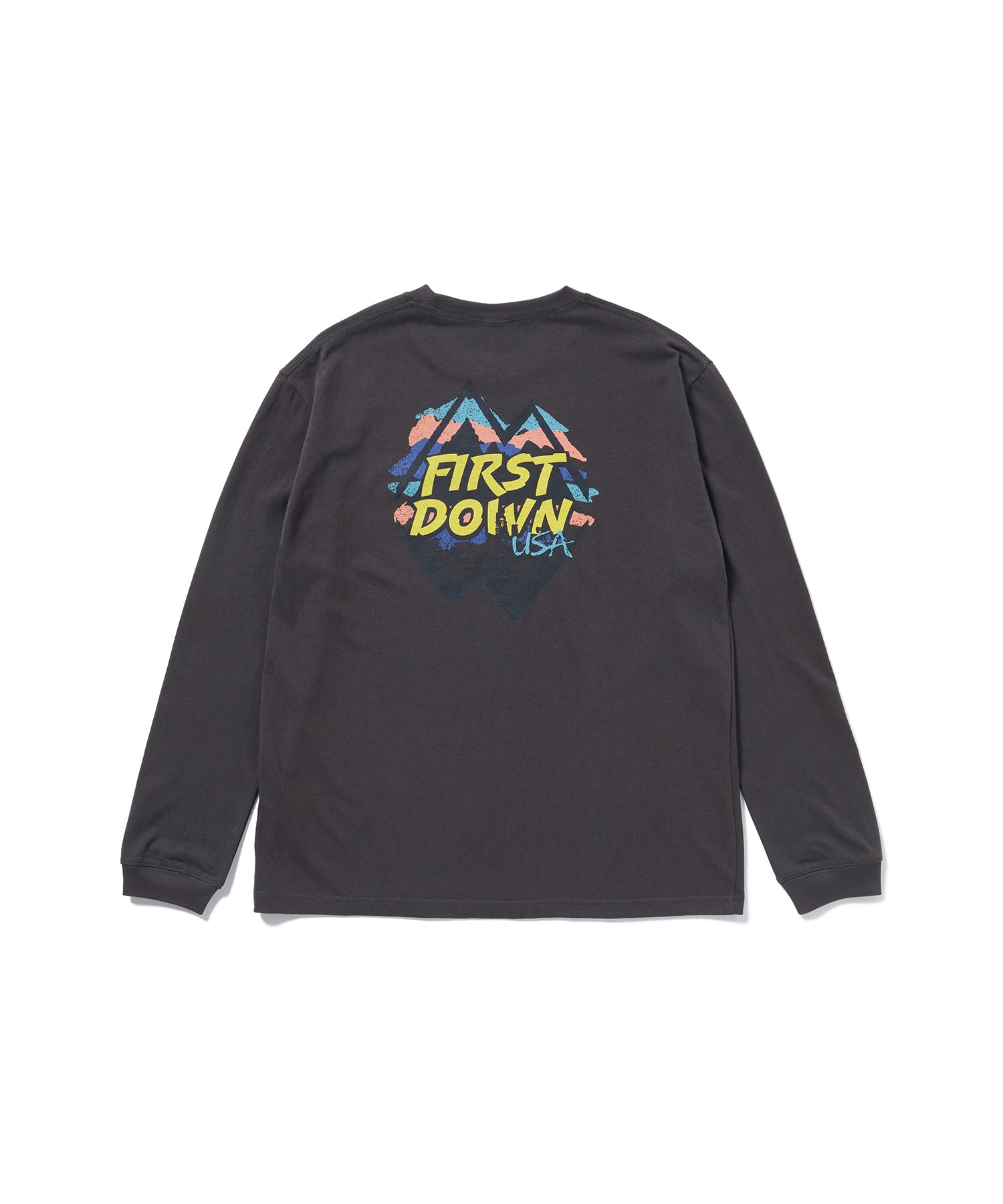 ポイントUP対象】グラフィック ロングスリーブ ティー | GRAPHIC L/S